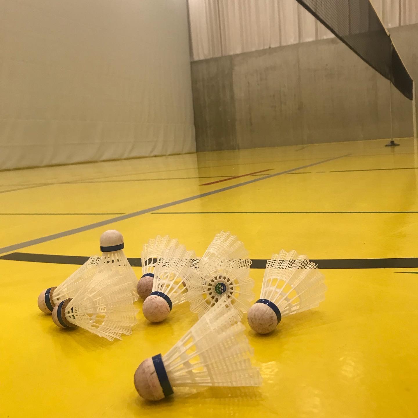 Impressionen von Trainings